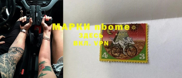 индика Коряжма
