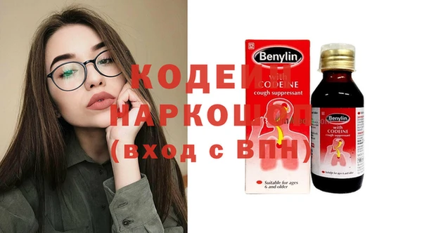 индика Коряжма