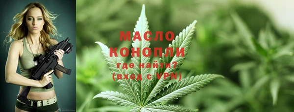 индика Коряжма
