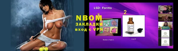 индика Коряжма