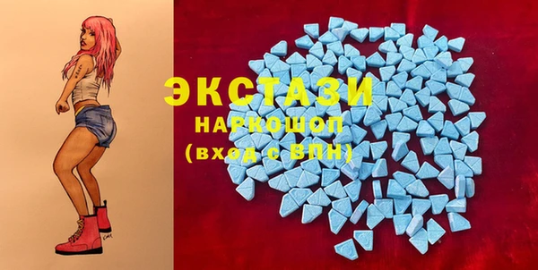 индика Коряжма