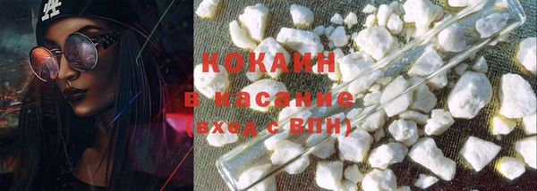 индика Коряжма