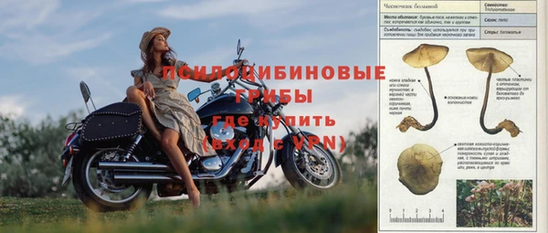 индика Коряжма
