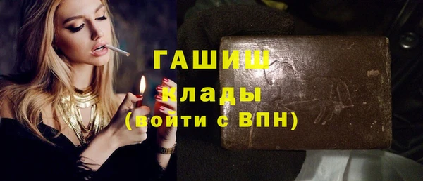 индика Коряжма
